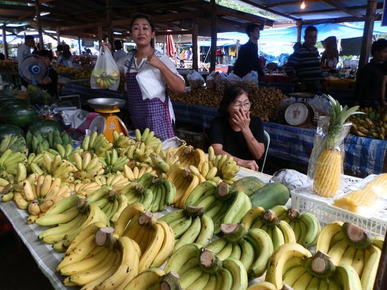 Jo das können wir nehmen 