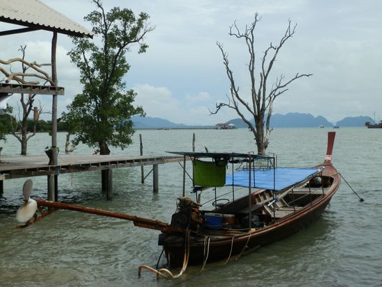 Zurück in Saladan in den Mangroven