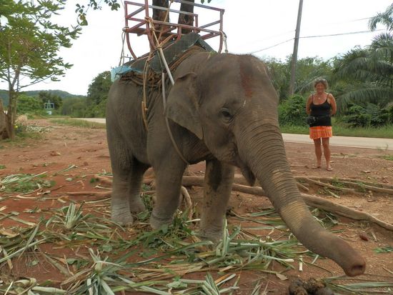 Zwischendurch ein kleiner Trip!