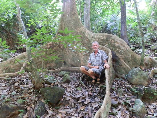 Auf dem Weg von der Straße zum Wasserfall
Das sind noch richtige Bäume - wunderschön
