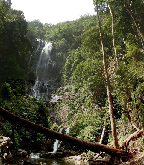 Der Blick von etwas weiter weg
