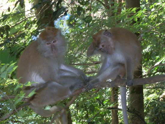 Natürlich sind die immer und überall