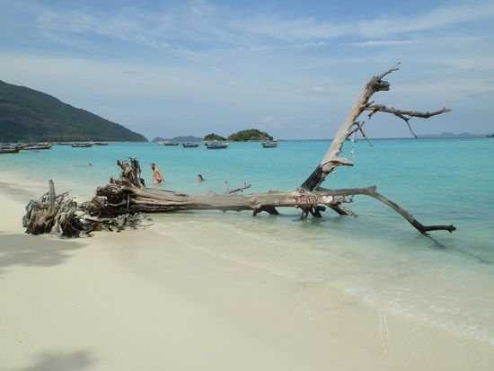 Daran kann man sich niemals sattsehen 