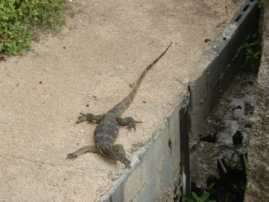Hups!!! Wir wollten dann doch nicht, unbedingt, weiter 
