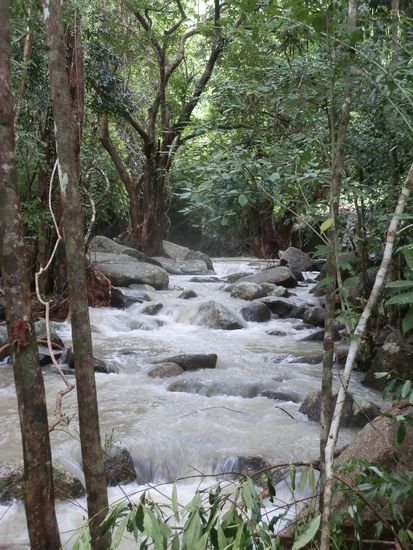 Es gibt noch ein paar Wasserfälle auf dem Weg und in zwei Tagen versuchen wir es noch einmal