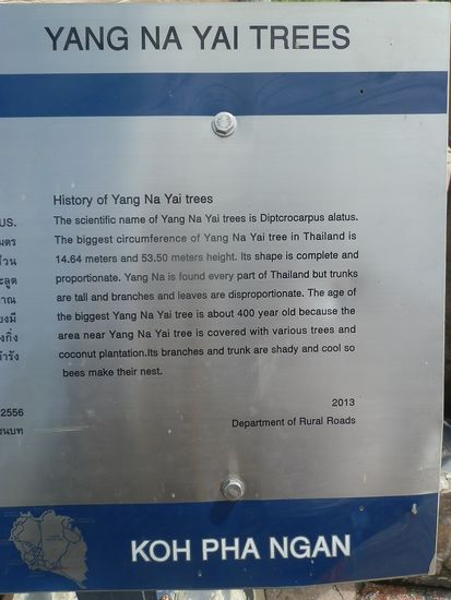 Ein bisschen Info zu dieser Pracht