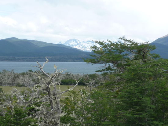 auf der Weiterfahrt nach Ushuaia