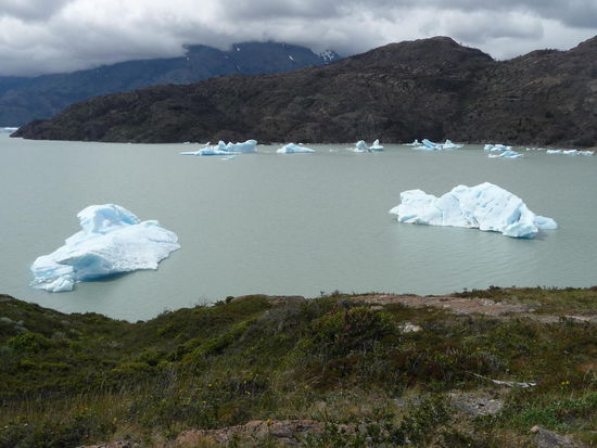 Eisschollen beim Gletschersee Grey