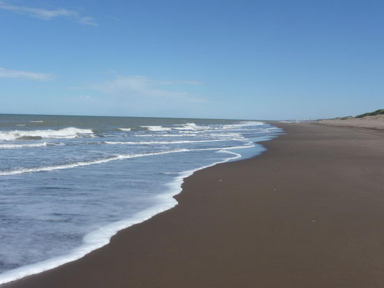 einer der zahlreichen Stände