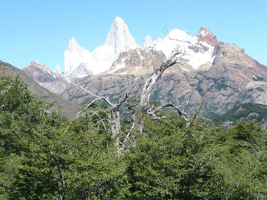 Cerro Fitz Roy