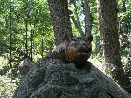 Das soll ein Puma sein... 