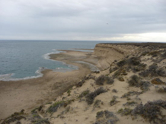 Küste der Halbinsel Valdes
