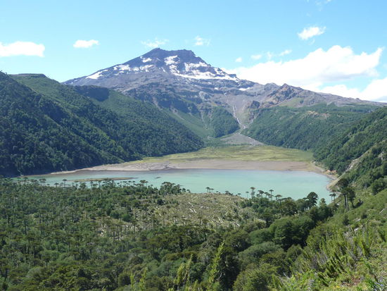 Laguna Blanca mit Vulkan Tolhuaca 2806m