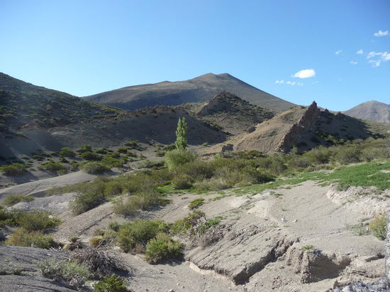 Landschaft unterwegs nach Chos Malal