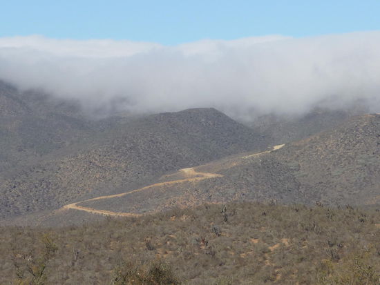 Nationalpark Jorge Fray...