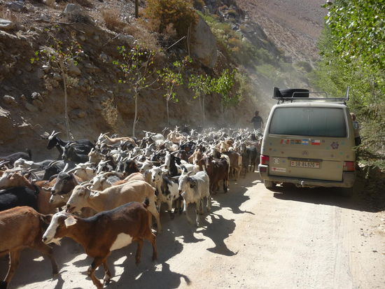 "Gegenverkehr" in kleinen Dorf