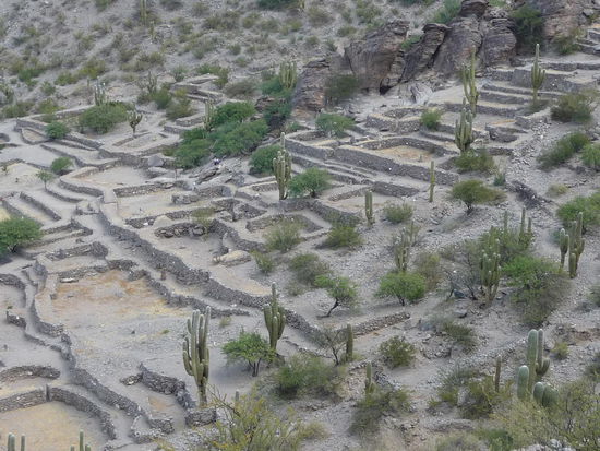 Ruinen von Quilmes, etwas südlich von Cafayate