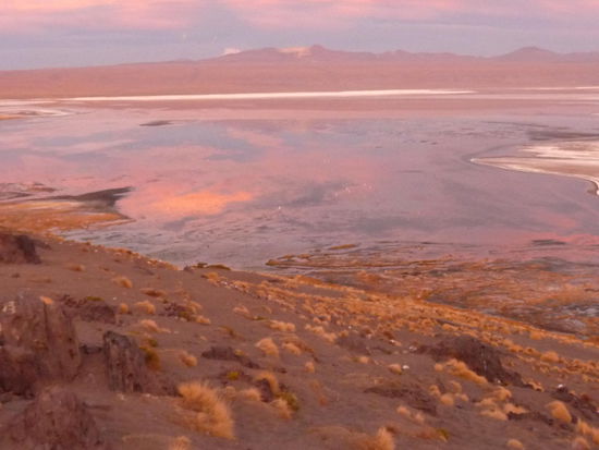 Laguna Colorado kurz vor Sonnenuntergang...