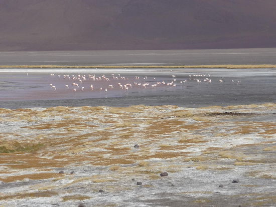 Der See aus der südlichen Perspektive