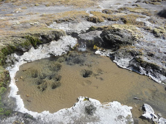 blubberndes heisses Wasser...