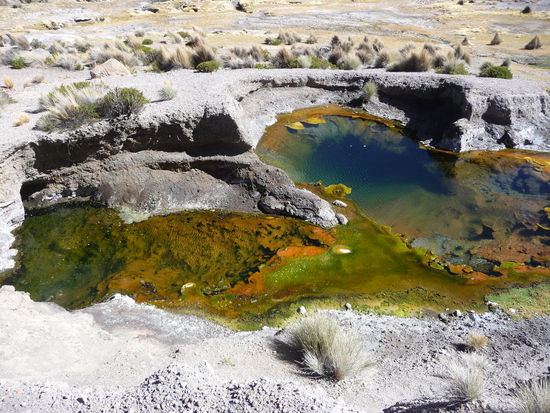 hier in ganz tollen Farben