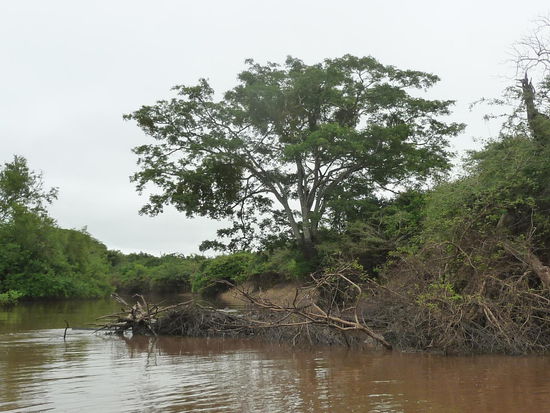 die Gegend ist ein Nationalpark