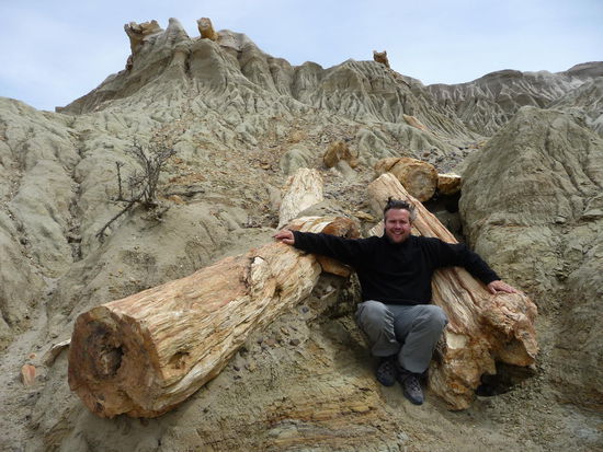 Martin in the "woods"