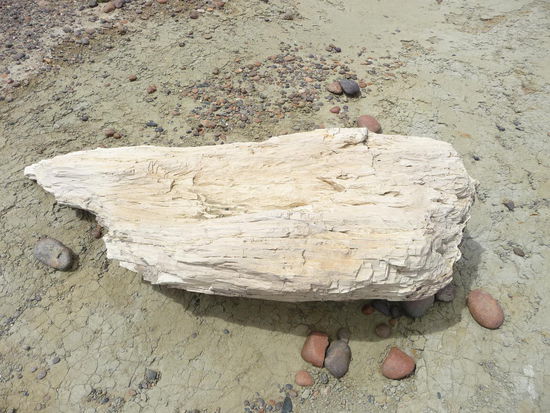 sieht doch aus wie Holz, oder nicht?