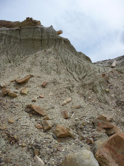 die kleinen Steine sehen aus wie Holz-Späne