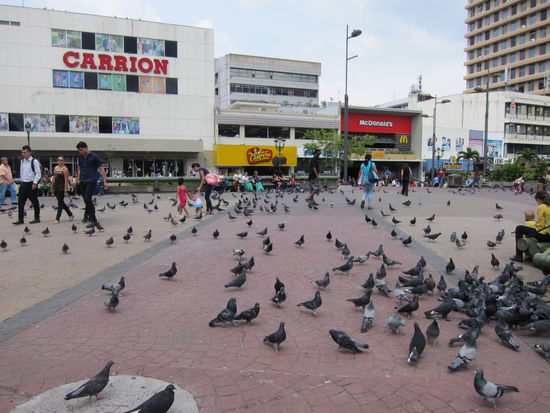Ebenfalls Plaza de la Cultura und was ist schon auf dem Bild davor aufgefallen? TAUBEN und am Rand des Platzes stehen mindestens 5 Ticos und verkaufen lauthals Taubenfutter