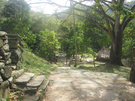 Nach 1,5 Stunden erreichten wir die Ruinenstadt Pueblito. Hier wohnte um 1000 n. Chr. circa 2000 indigene Tayrona, nach denen auch der Park benannt wurde.