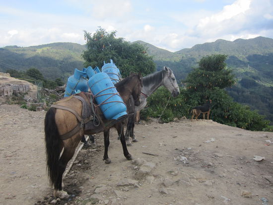 Von der anderen Seite aus blickt man auf grüne Berge und hochexplosive Pferde 