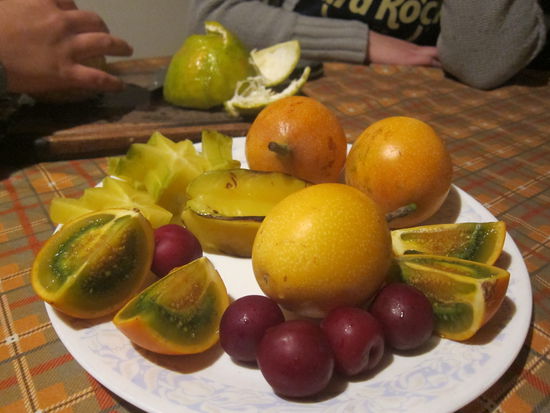 In Kolumbien gibt es viele Früchte, die es sonst nirgends auf der Welt gibt: Lulo, Grenadilla, Guanábana, Curuba, Tamarindo...