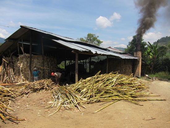 Zuckerrohr-"Fabrik": In Costa Rica habe ich bereits die mehr oder weniger industrielle Verarbeitung der Zuckerrohr-Pflanze kennen gelernt. In diesem Familienbetrieb mitten im Nirgendwo wird alles noch von Hand gemacht.