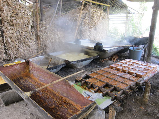 ...anschließend in verschiedenen Kochprozessen (im Bild hinten) verarbeitet. Das fertige Produkt in Blockform (im Bild vorne) nennt sich Panela. Es enthält sogar Eisen und Calcium, ist also nicht nur süß, sondern auch gesund  Panela wird auch in Wasser aufgelöst als "Tee" getrunken.