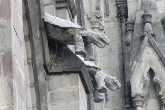 Wo bei uns Wasserspeier die Kirchenwände zieren, sind es bei dieser Kathedrale einheimische Tiere, beispielsweise Schildkröten, Leguane oder Gürteltiere.