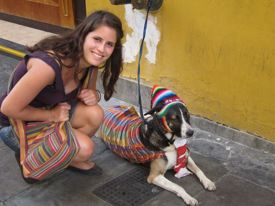 Inka-Style: Bunter Hund, passend zur Tasche.