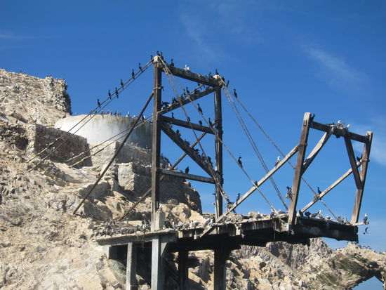 Eine halbe Brücke auf einer der Inseln wird heute nur noch von den Seevögeln genutzt.