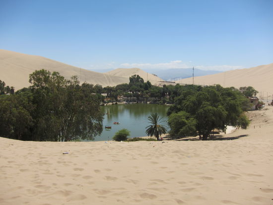 Mitten in der Wüste: eine Oase