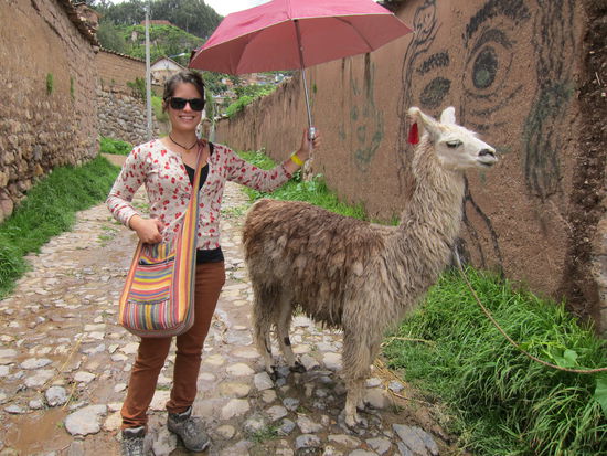 Hunde laufen frei rum, Lamas sind meist irgendwo angebunden. Das hier musste unfreiwillig für uns Modell stehen, hat uns aber nicht angespuckt.