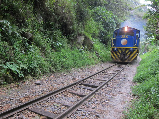 Die zweistündige Wanderung führte nicht nur an den Gleisen entlang, sondern der Weg war praktisch das Gleis. Gleich am Anfang wurden wir von einem Zug überrascht und mussten ins Gebüsch springen.