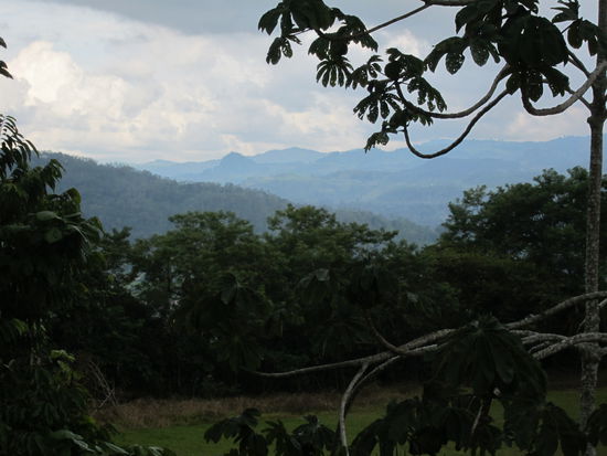 Da die Sprachschule außerhalb der Stadt auf einem Berg lag, hatte man diesen Ausblick vom Balkon: Berge und Regenwald