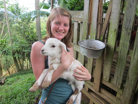 Neben den Ziegen hat die Familie auch noch ein paar Schafe, die verwenden sie aber leider nur zum schlachten. Das Lamm hier ist 3 Tage alt, am liebsten hätte ich es mitgenommen!!