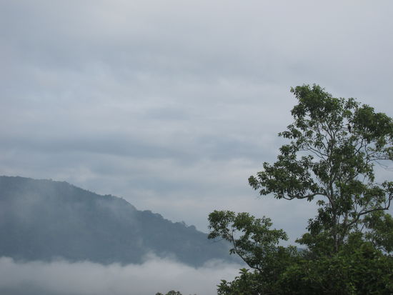 Suchbild: Wo ist die Attraktion und was ist es?