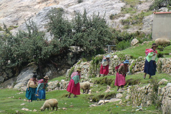 Die Frauen der Sonneninsel kleiden sich wie viele Bewohner in Bolivien noch sehr traditionell. Sie tragen immer etwas (Kräuter, Nahrungsmittel, Kinder oder Tiere) in bunten Tüchern auf dem Rücken.