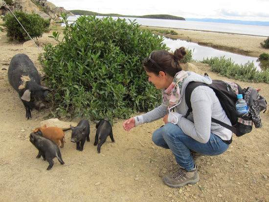Wir haben für die Wanderungen wahrscheinlich länger gebraucht als jeder andere, da es alle paar Meter süße Ferkel gab