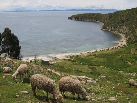 Zwei Tage lang erkundeten wir auf den zahlreichen einsamen Wanderwegen die kleine Insel.