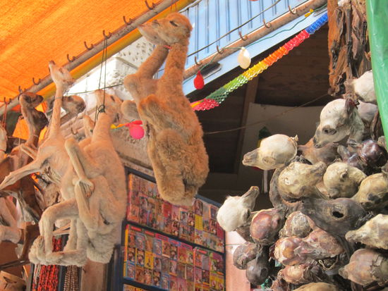 Leider gibt es hier auch jede Menge tote Lamababys oder ungeborene Lamaföten zu kaufen. Einige Bolivianer glauben, dass es Glück bringt, diese unter der Haustür eines neu gebauten Hauses zu vergraben 