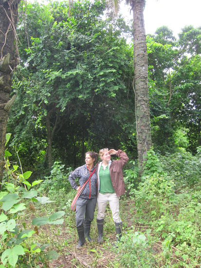 Auf einer kleinen Insel strömten die Forscher aus, um nach Tieren zu suchen. Wir sahen Insekten, Eidechsen, einen Uhu und andere Vögel.