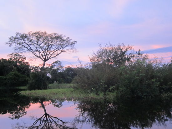 Sonnenaufgang und eine krasse Geräuschkulisse: Affen und Vögel kreischen um die Wette.